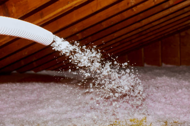 Best Eco-Friendly Insulation in Hephzibah, GA