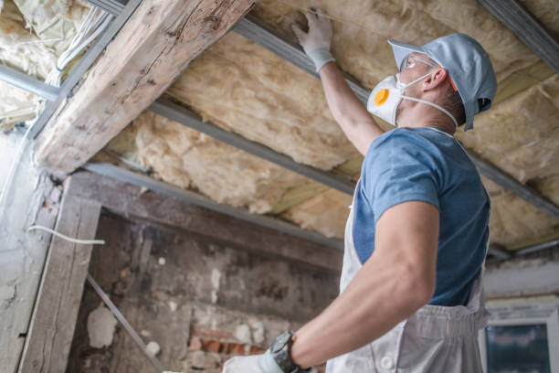 Best Specialized Insulation Services in Hephzibah, GA