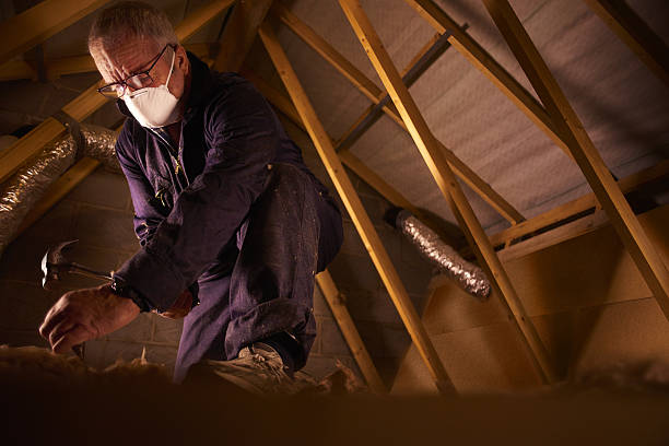 Best Cellulose Insulation in Hephzibah, GA