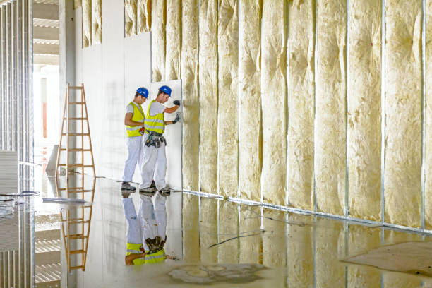 Best Commercial Insulation in Hephzibah, GA